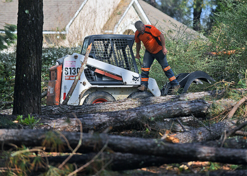 Possible tornado leaves mark on Dothan neighborhood